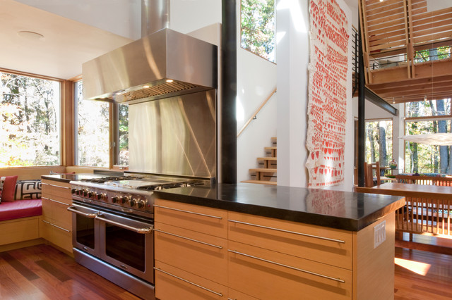 Gresser Johnson House contemporary-koek