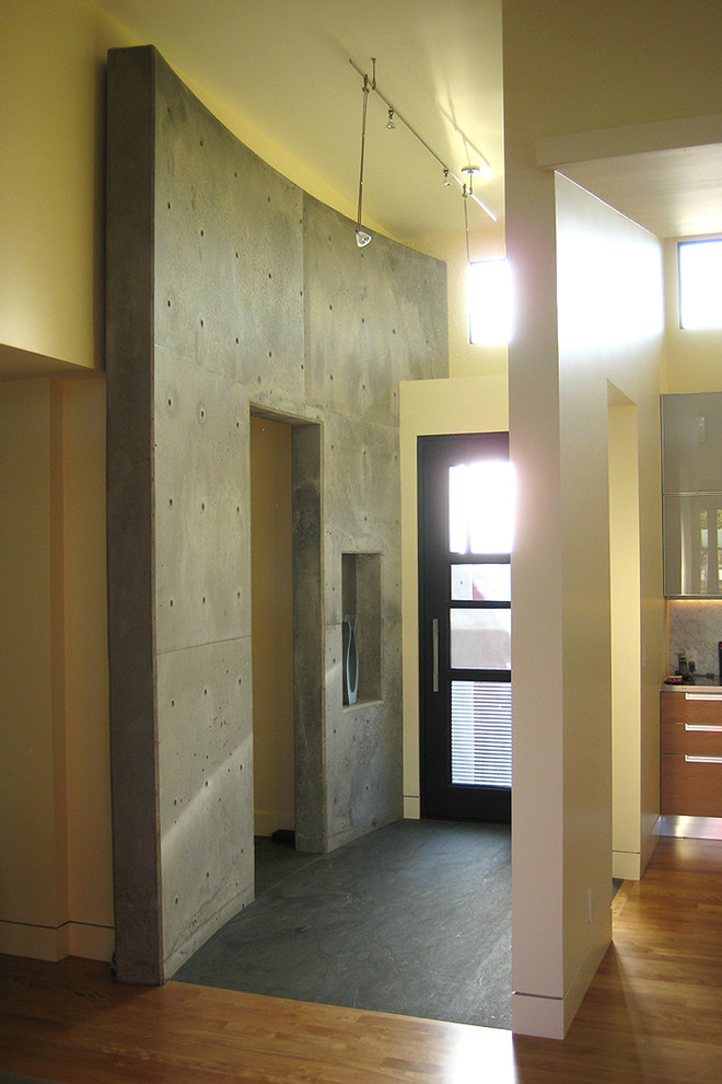 This is an example of a modern entryway in San Francisco.