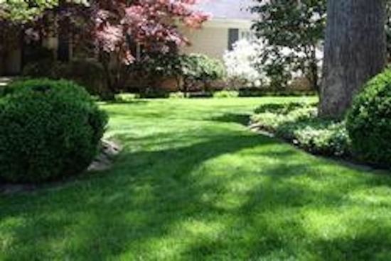 This is an example of a mid-sized partial sun front yard mulch landscaping.