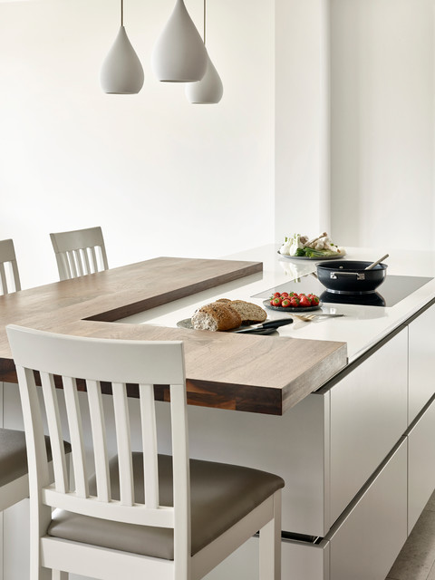 examples contemporary-kitchen