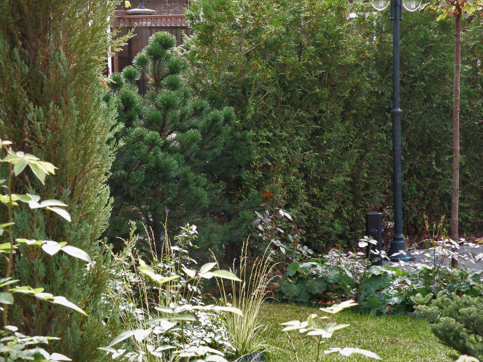 Живая мозаика