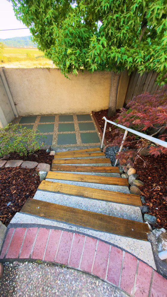 Complete Backyard & Landscape Renovation
