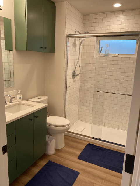 S.E. Oak Backyard Cottage Renovation traditional-bathroom