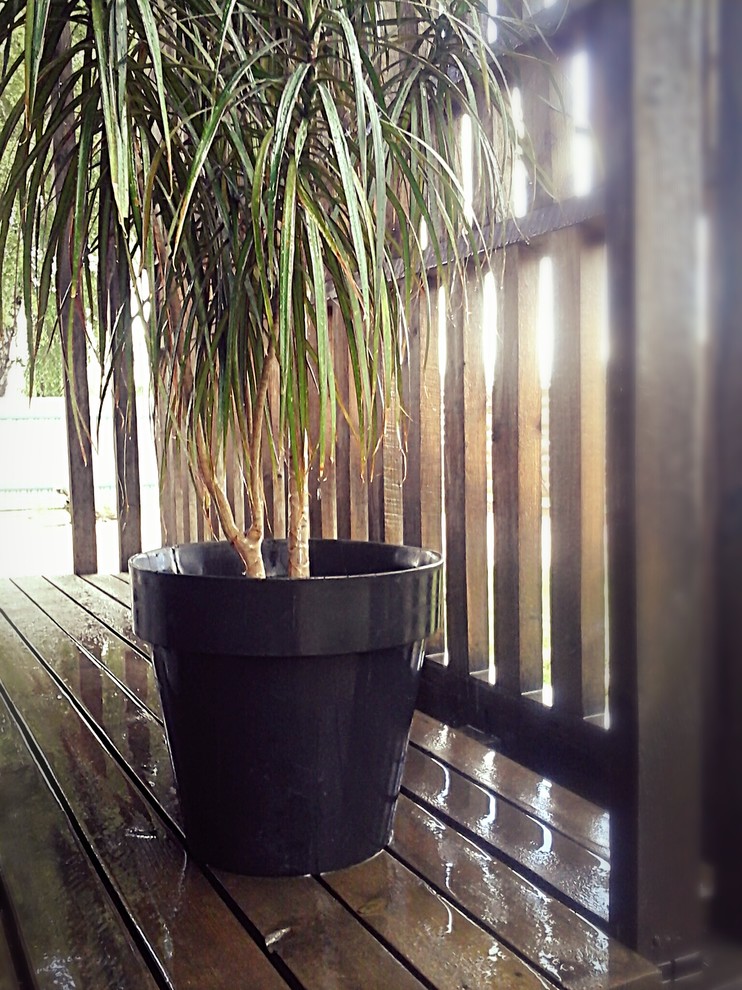 Кашпо и горшки для цветов и растений из микробетона.