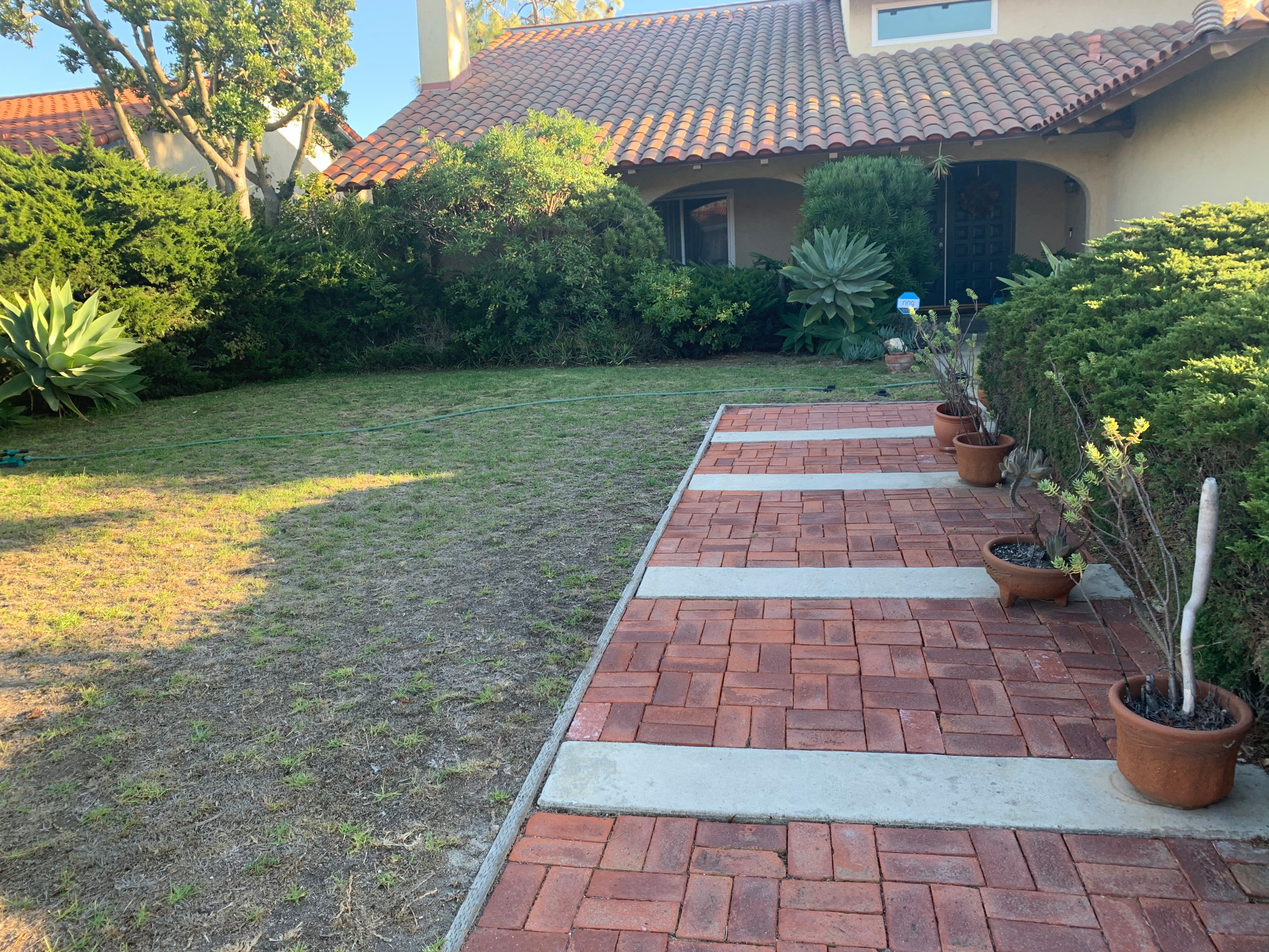 Rancho Palos Verdes, CA - Front Yard Regenerative Renovation