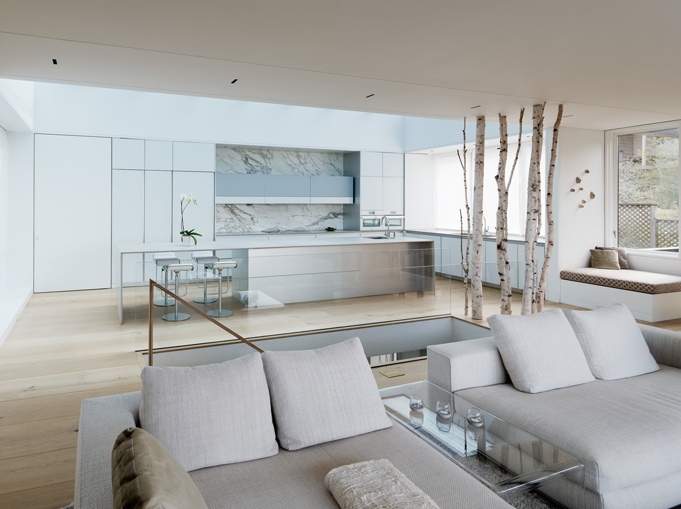 This is an example of an expansive contemporary formal open concept living room in San Francisco with light hardwood floors.