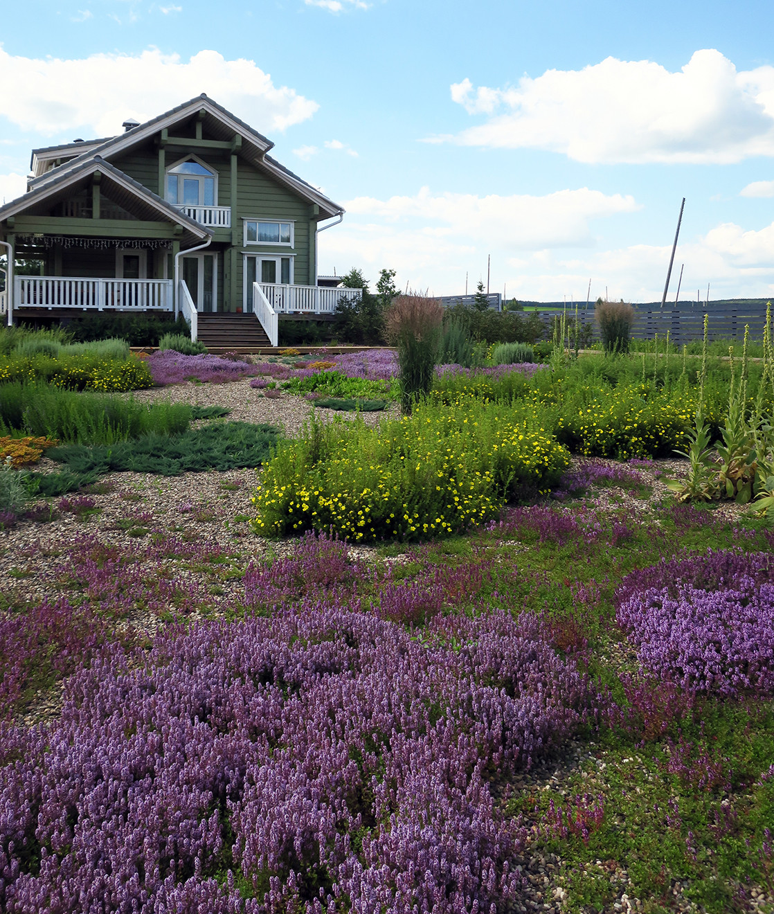 Полынный берег