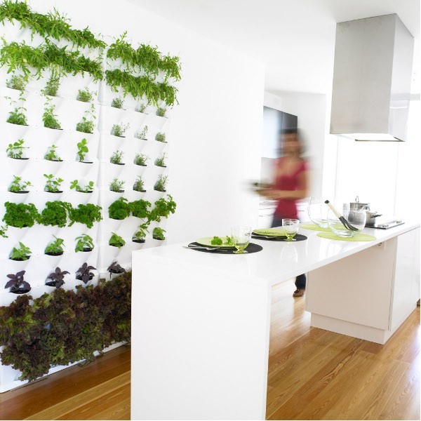 Indoor/Outdoor Living Wall Planters