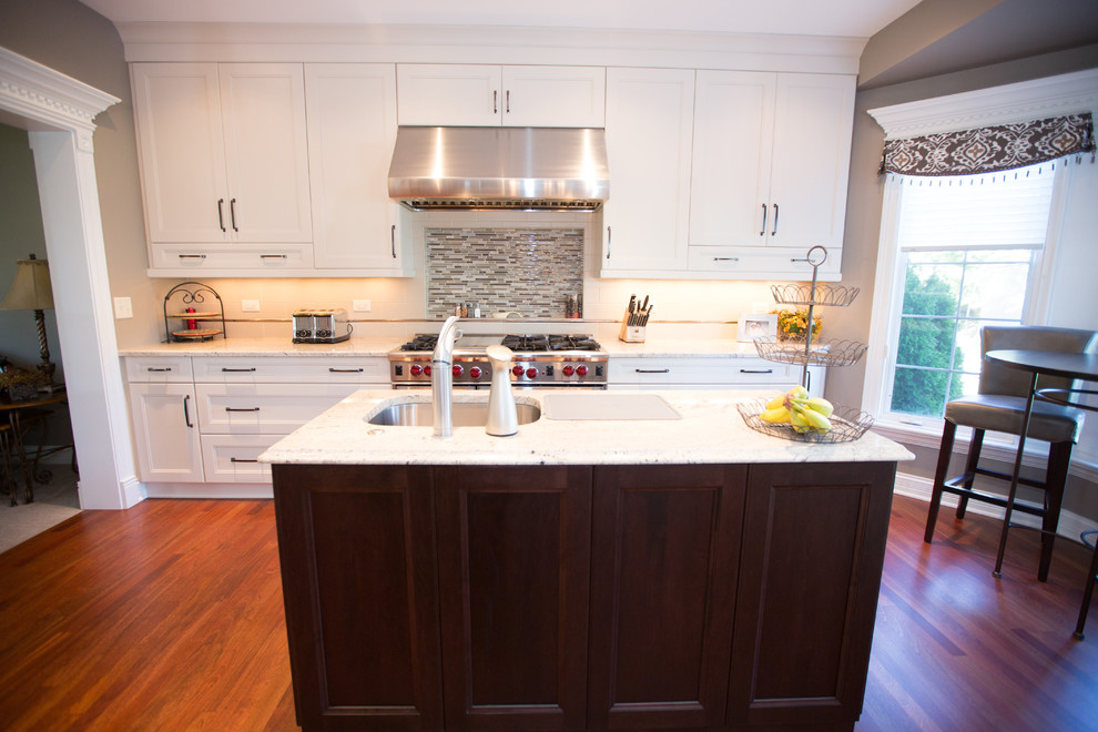 Kitchen - transitional kitchen idea in Chicago