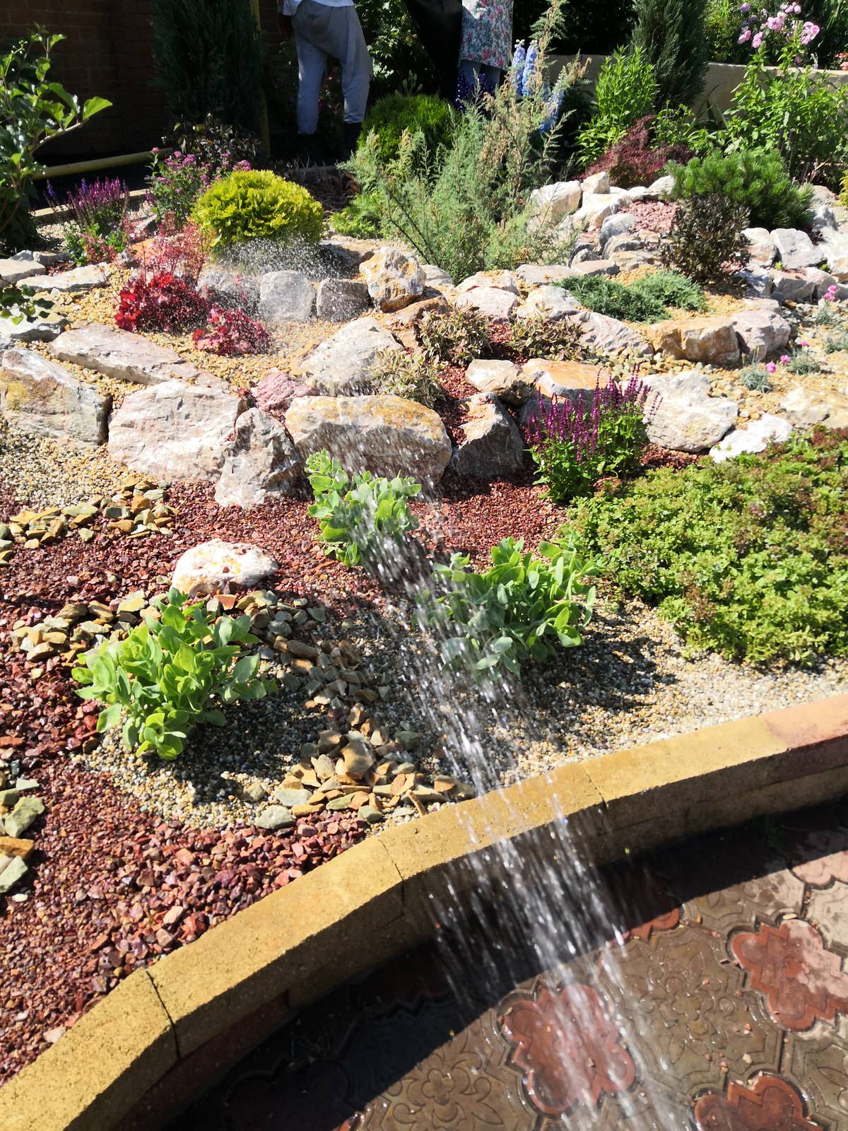 Рокарий для коллекции растений