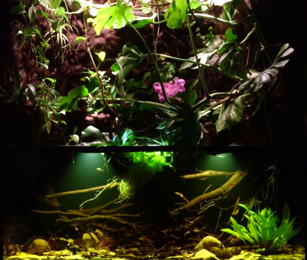 Флорариум 2