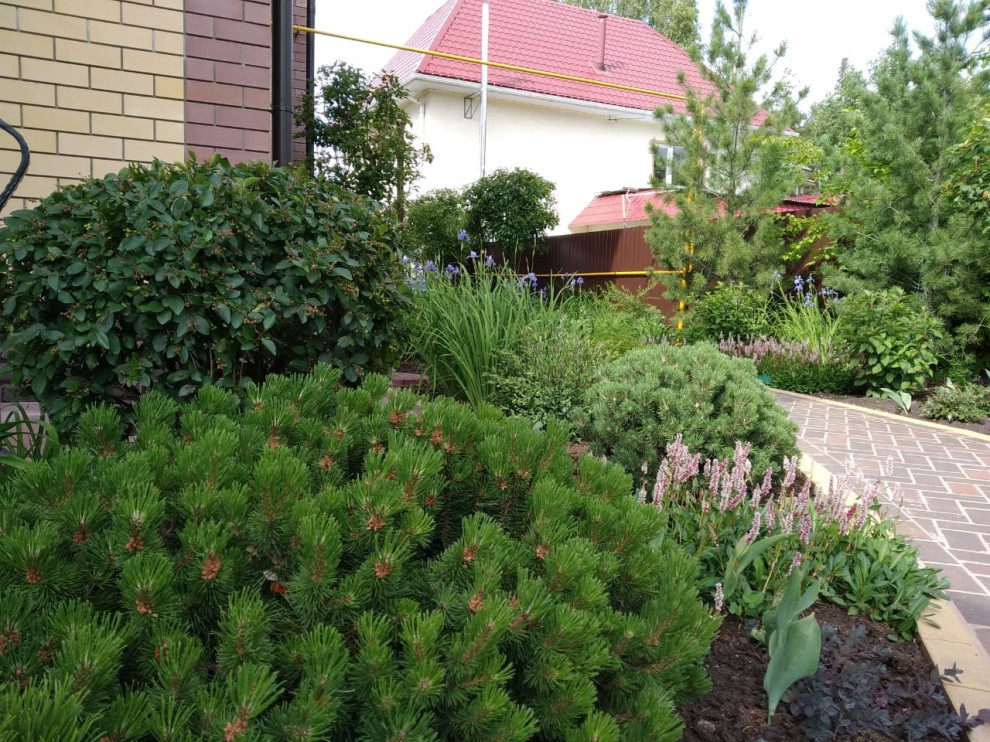 Сад в розовой дымке