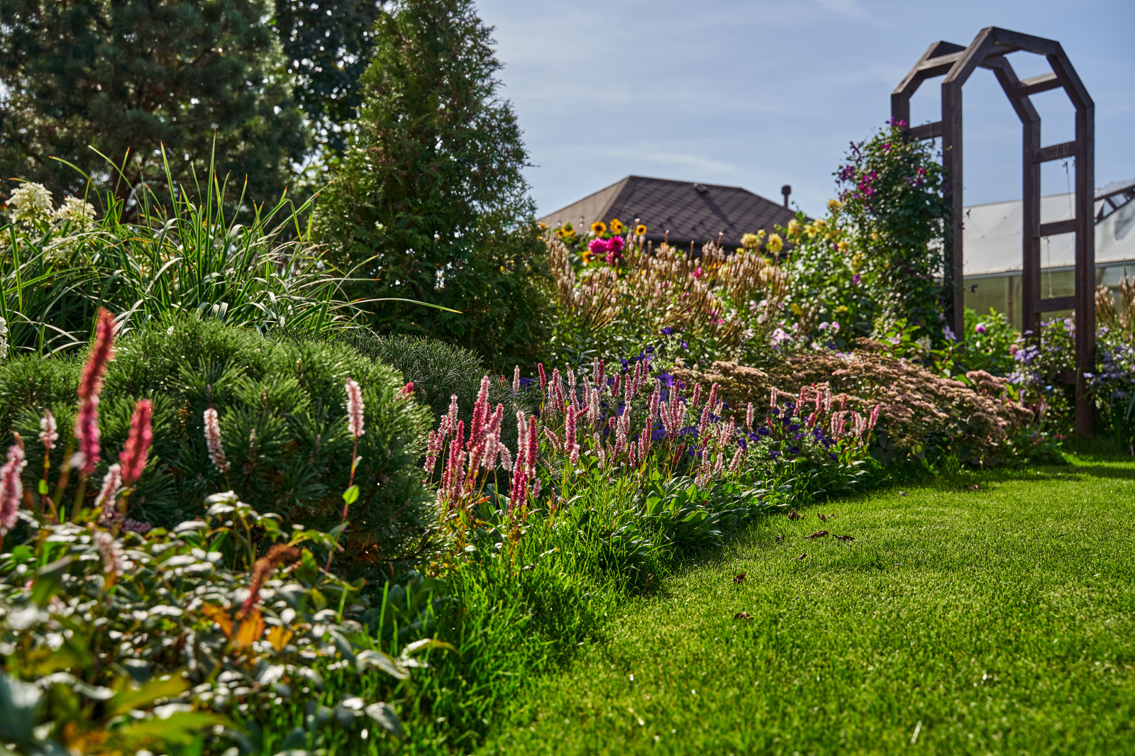 Сад в розовой дымке