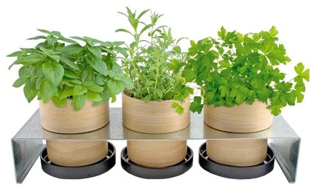 Contemporary Indoor Pots And Planters
