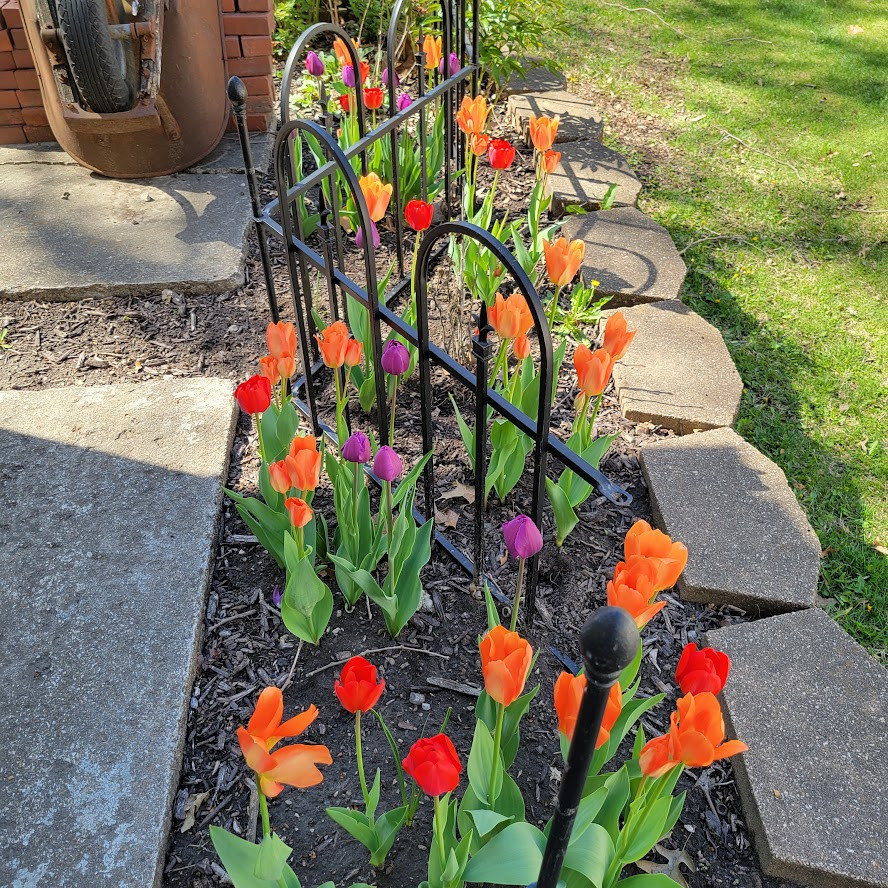 Spring Gardens $
