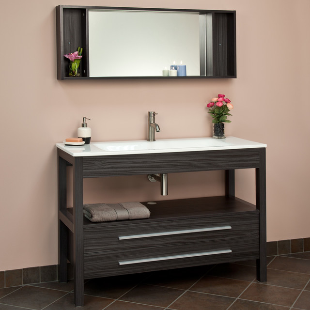 48" Garmer Console Vanity with Mirrored Storage Cabinet