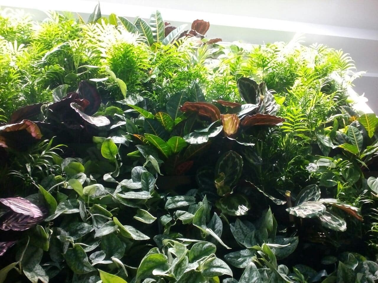 Частный 3-х этажный дом