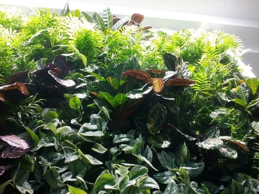 Частный 3-х этажный дом