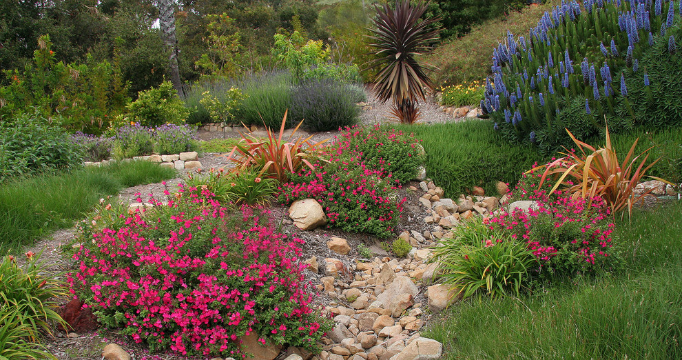 Photo of a mediterranean garden in Santa Barbara.
