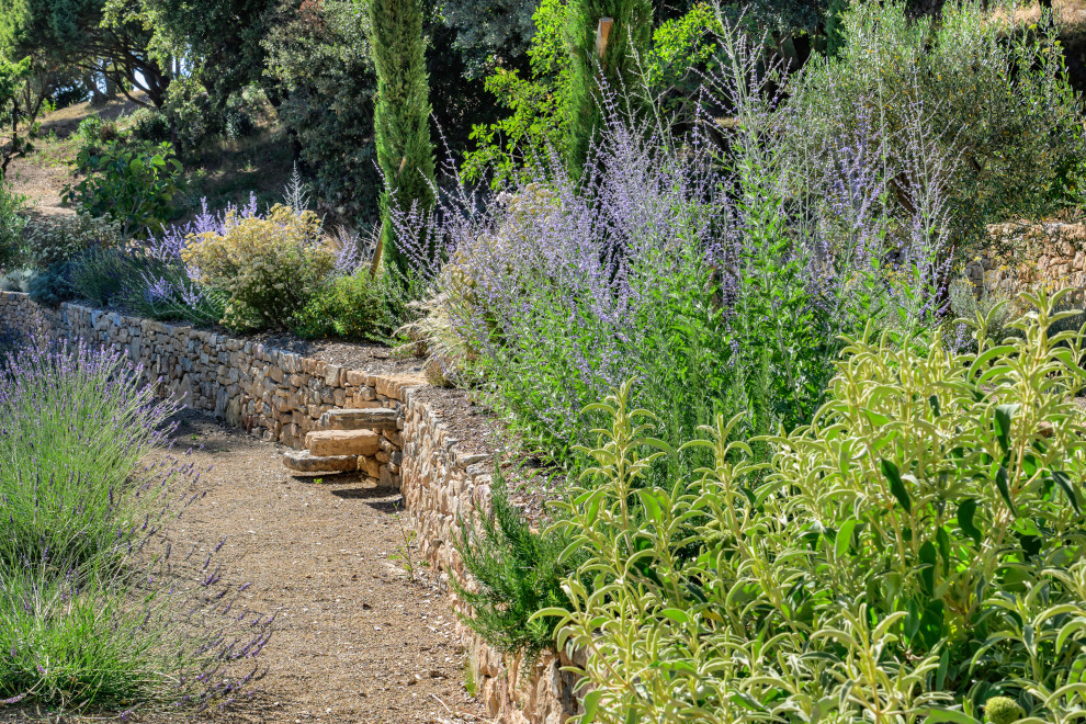 Tourtour - jardin méditerranéen contemporain