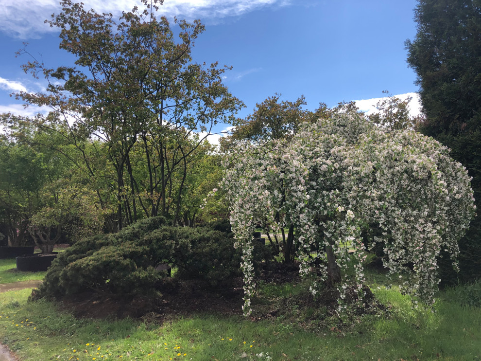 Klassischer Garten in Düsseldorf