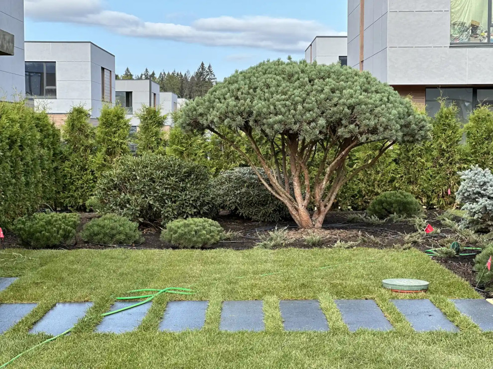 «СТРОГО ПО ПРЯМОЙ»