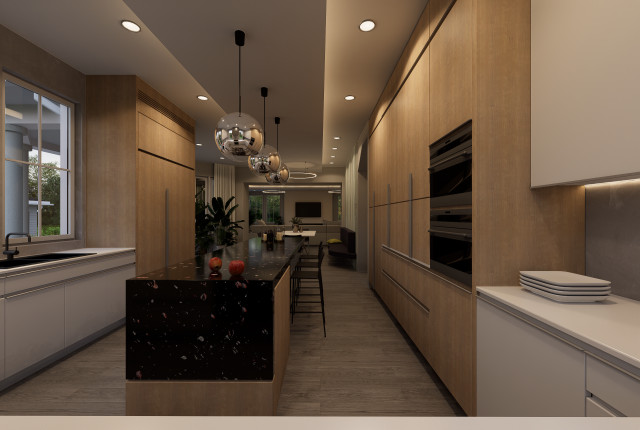 Summit Residence &mdash; Kitchen Visualization &mdash; D5 Final transitional-kitchen