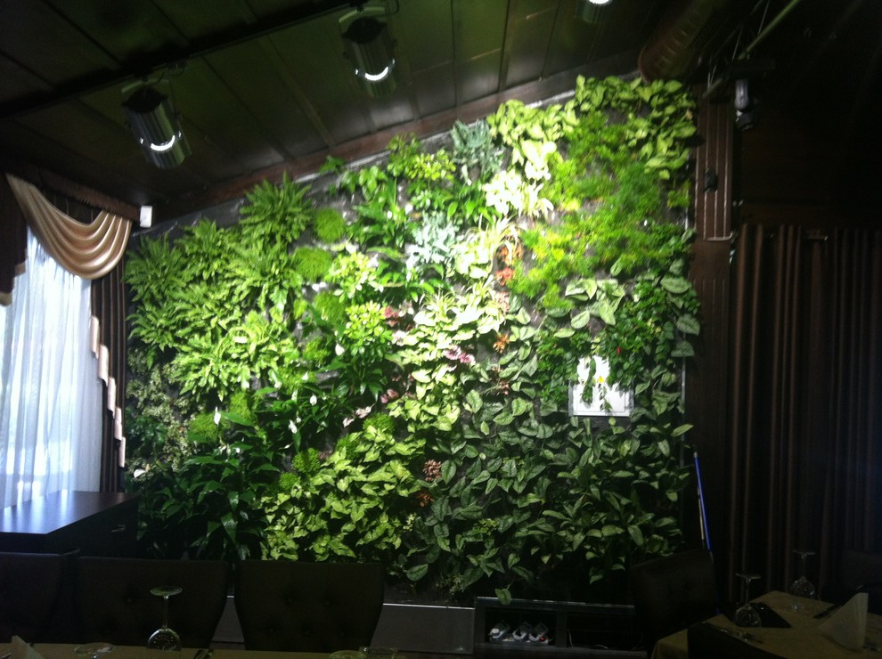 Вертикальные сады