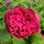Last commented by john_z6_oh