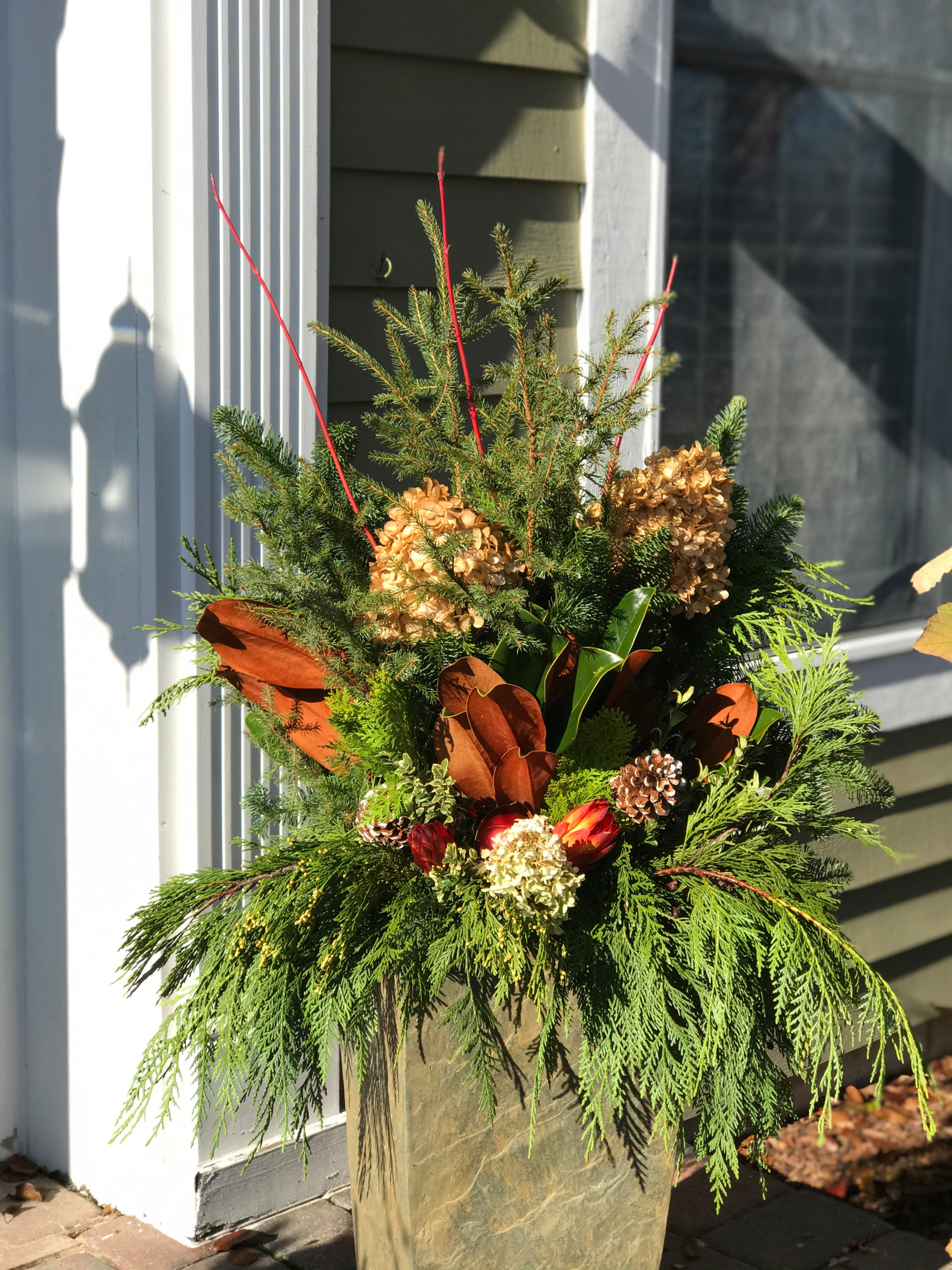 Winter containers and Holiday Decorations