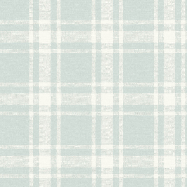 407270016 Delphine Antoine Light Blue Flannel Sure Strip Prepasted