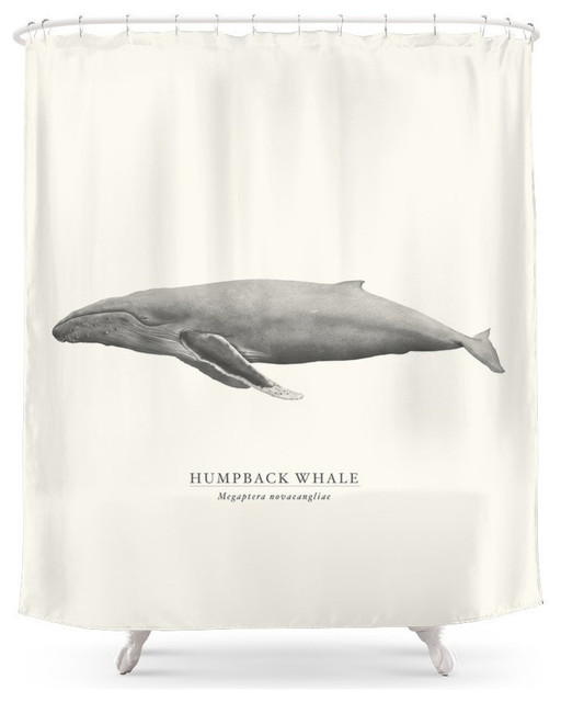 Humpback Whale Shower Curtain Beach Style Shower Curtains By