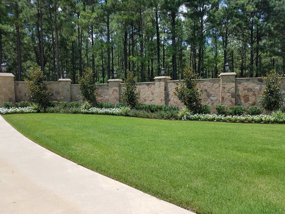 This is an example of a mid-sized traditional front yard driveway in Other.