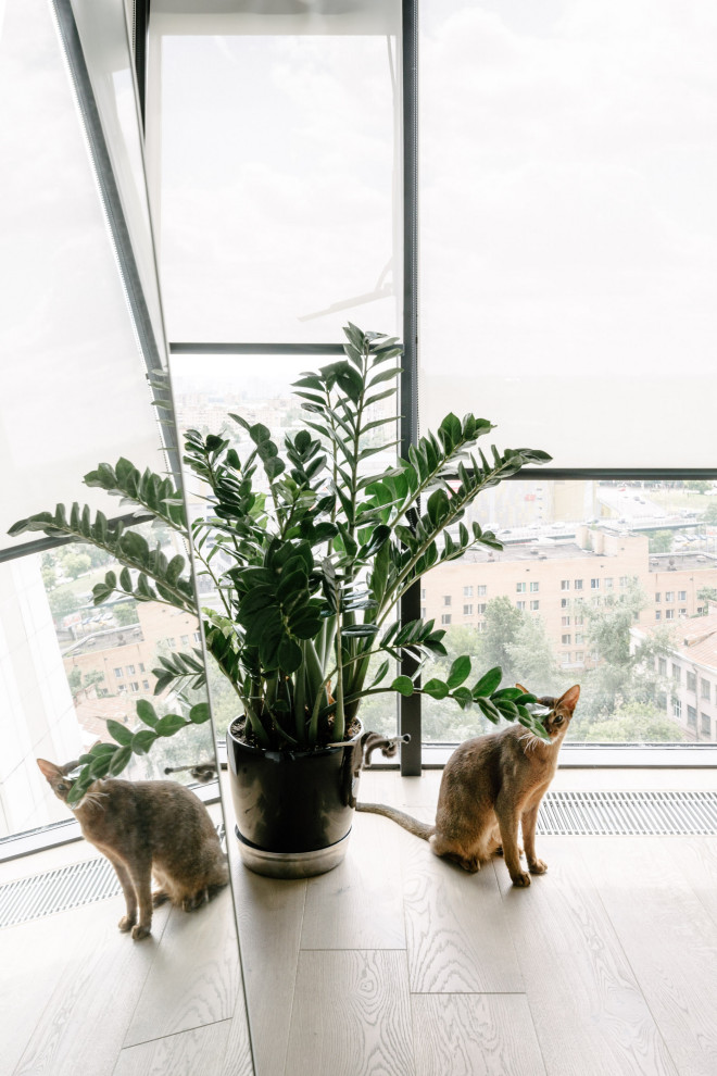 1-Ya Mashinostroyeniya Ulitsa