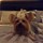 annette_zinante