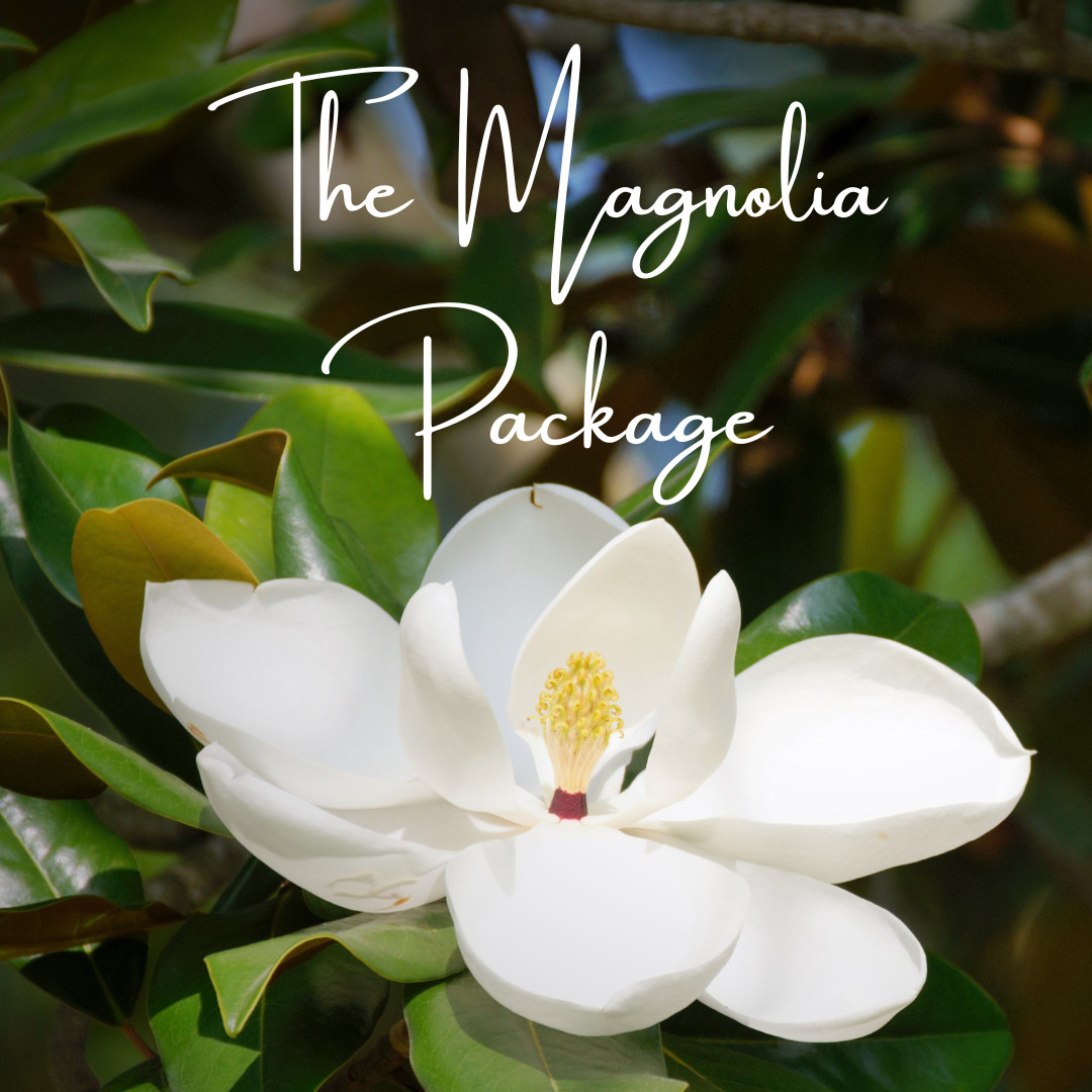 magnolia
