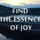 Find the Essence of Joy
