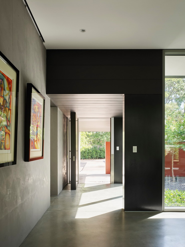 Inspiration for a small contemporary front door in Houston with grey walls, concrete floors, a pivot front door and grey floor.