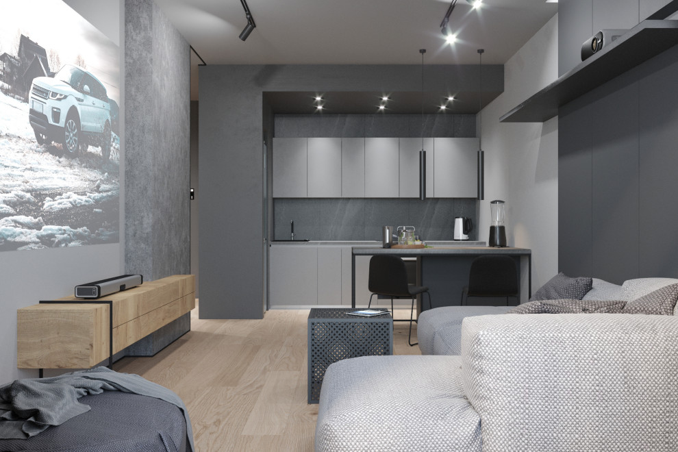 Однокомнатная монохромная квартира