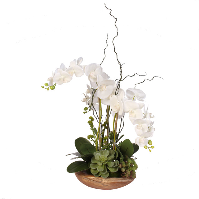 Real Touch Phalaenopsis Silk Orchid With Curly Willow in Natural Teak ...
