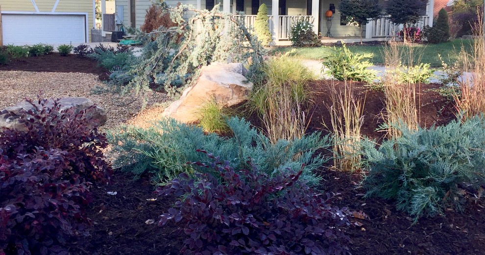 This is an example of a contemporary garden in Charlotte.