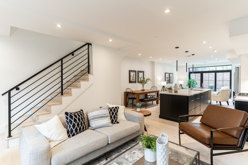 Southwest DC Duplex Renovation