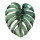 Last commented by 9Plant