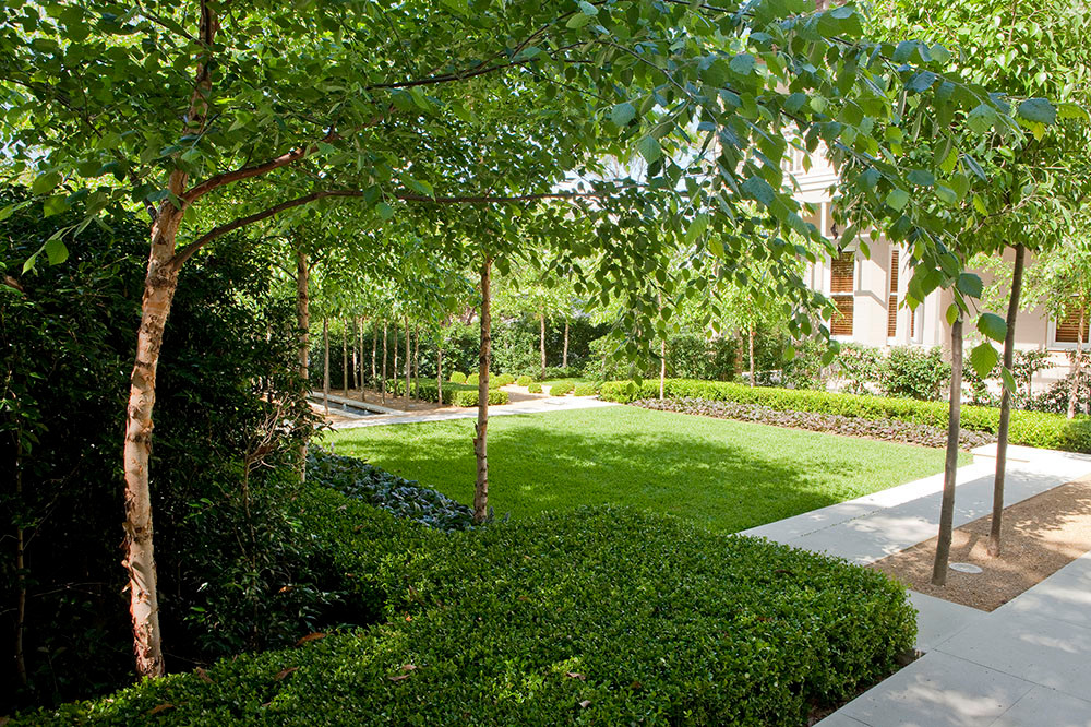 Фото, ландшатный дизайн