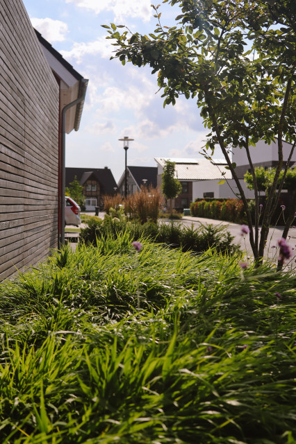 Sommeraspekt im modernen Skandinavisch Garten Sonstige