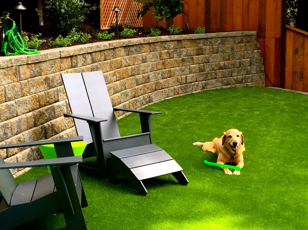 Design ideas for a mid-sized traditional backyard garden in San Francisco with a retaining wall.
