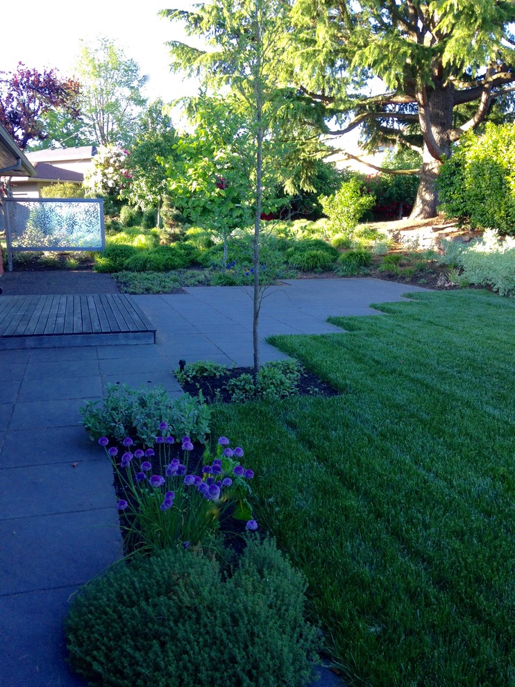 This is an example of a large contemporary backyard partial sun xeriscape in Portland with a garden path and concrete pavers.