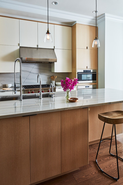 Garden Street Townhouse contemporary-kitchen