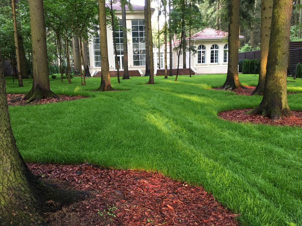 Проект Грибово