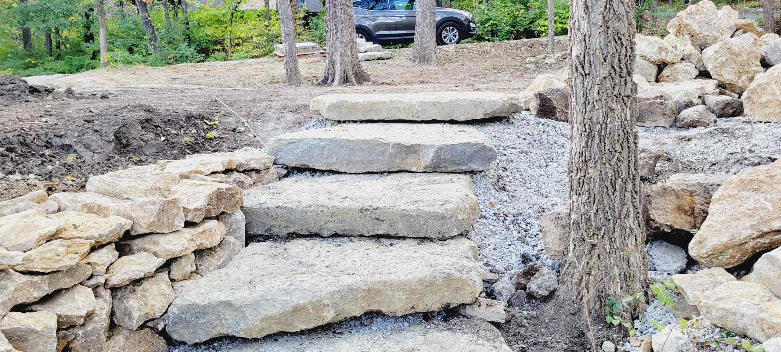Woodland Restoration